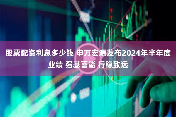 股票配资利息多少钱 申万宏源发布2024年半年度业绩 强基蓄能 行稳致远