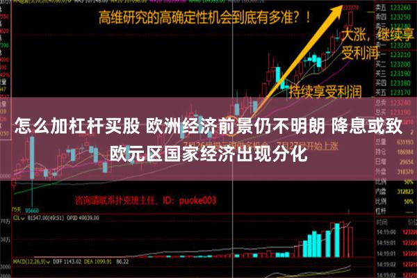 怎么加杠杆买股 欧洲经济前景仍不明朗 降息或致欧元区国家经济出现分化