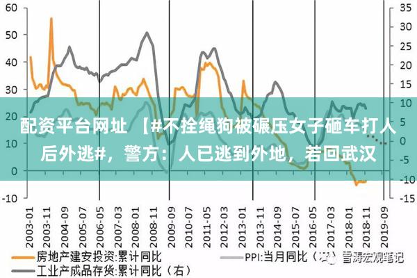 配资平台网址 【#不拴绳狗被碾压女子砸车打人后外逃#，警方：人已逃到外地，若回武汉