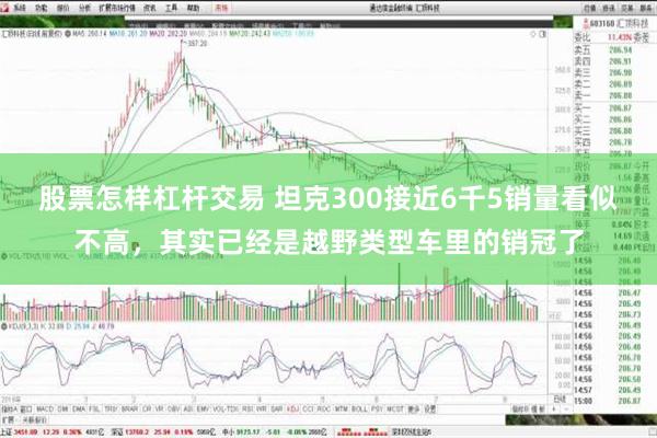 股票怎样杠杆交易 坦克300接近6千5销量看似不高，其实已经是越野类型车里的销冠了