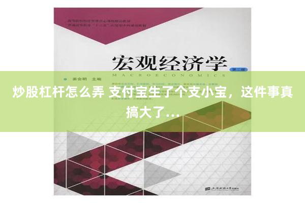 炒股杠杆怎么弄 支付宝生了个支小宝，这件事真搞大了…