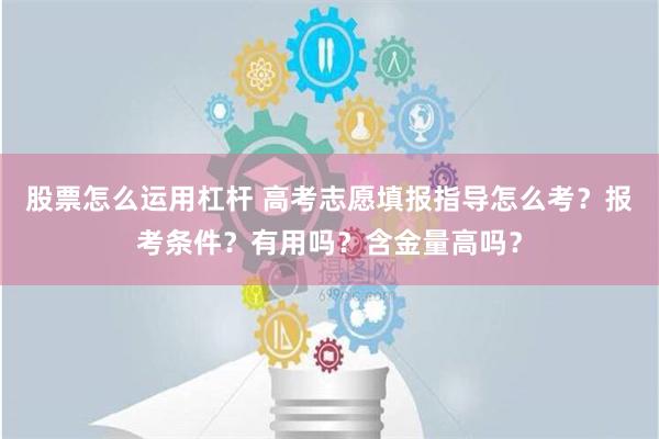 股票怎么运用杠杆 高考志愿填报指导怎么考？报考条件？有用吗？含金量高吗？