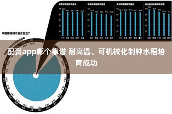 配资app哪个靠谱 耐高温、可机械化制种水稻培育成功