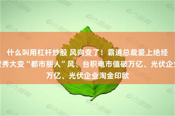 什么叫用杠杆炒股 风向变了！霸道总裁爱上绝经的我、维密秀大变“都市丽人”风、台积电市值破万亿、光伏企业淘金印欧