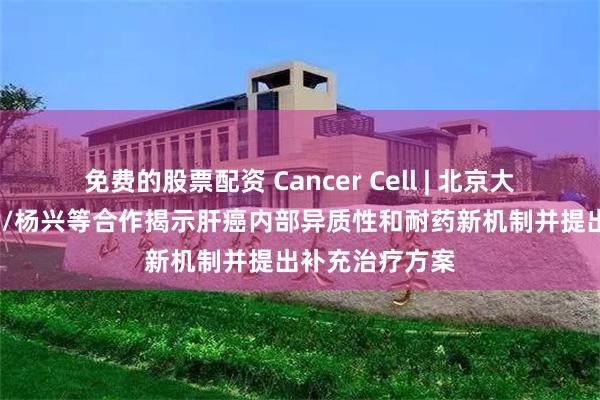 免费的股票配资 Cancer Cell | 北京大学张宁/吴健民/杨兴等合作揭示肝癌内部异质性和耐药新机制并提出补充治疗方案