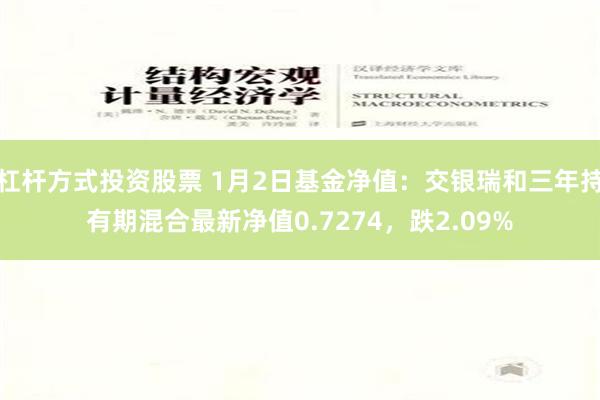 杠杆方式投资股票 1月2日基金净值：交银瑞和三年持有期混合最新净值0.7274，跌2.09%