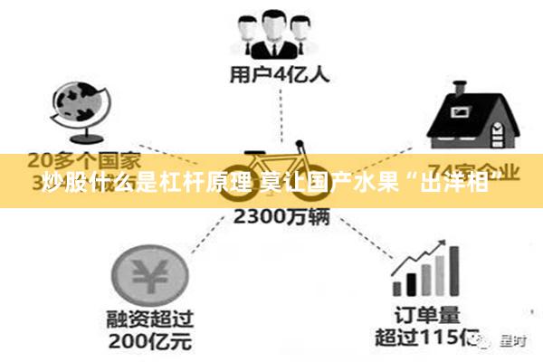 炒股什么是杠杆原理 莫让国产水果“出洋相”