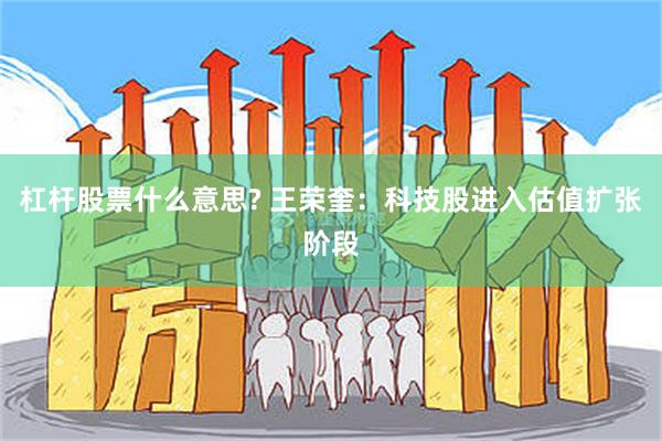 杠杆股票什么意思? 王荣奎：科技股进入估值扩张阶段